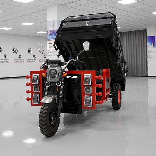 Electric Tricycle Motor Power Electric Guide